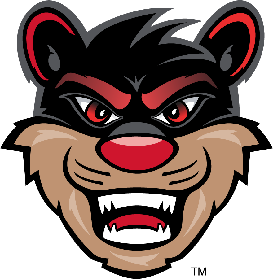 Cincinnati Bearcats 2010-Pres Mascot Logo diy iron on heat transfer